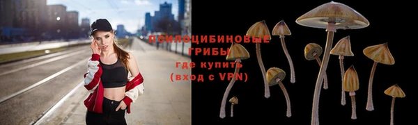 a pvp Алексин