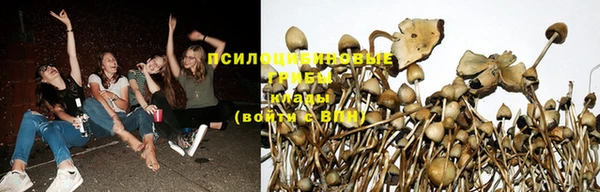 a pvp Алексин