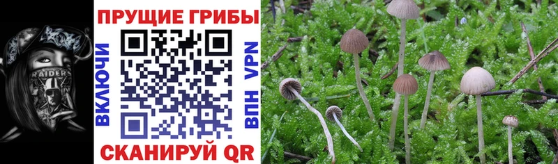 Псилоцибиновые грибы MAGIC MUSHROOMS  Николаевск 